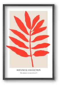 Botanical collection 1 - falikép keretben | artbridge