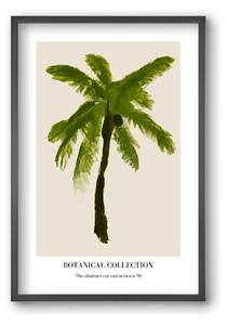 Botanical collection 6 - falikép keretben | artbridge