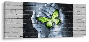 Kép - Zöld pillangó a falon (120x50 cm)