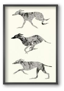 Greyhounds - falikép keretben | artbridge