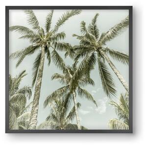 Lovely Palm Trees | Vintage - falikép keretben | artbridge