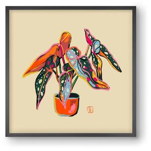 COLOURFUL BEGONIA PLANT - falikép keretben | artbridge