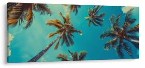 Kép - Magas pálmafák (120x50 cm)