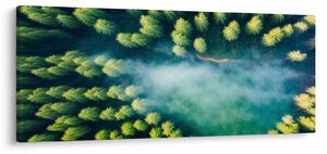 Kép - Egy ködbe burkolt erdő (120x50 cm)
