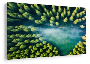 Kép - Egy ködbe burkolt erdő (90x60 cm)