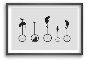 Cats - falikép keretben | artbridge