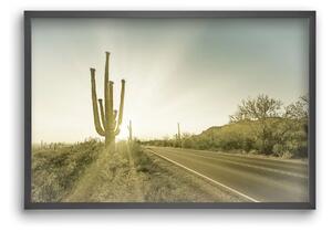 SAGUARO NATIONAL PARK Setting Sun | Vintage - falikép keretben | artbridge