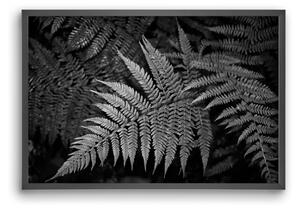 Bracken joy - falikép keretben | artbridge