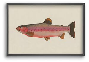 Fishy - falikép keretben | artbridge