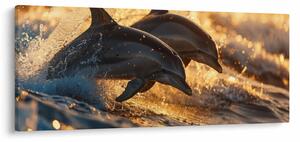 Kép - Delfinek (120x50 cm)