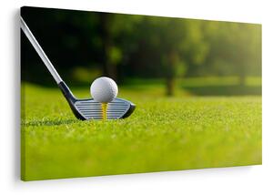 Kép - Golf (90x60 cm)