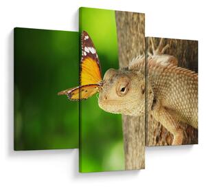 Kép - Gyík (90x60 cm)