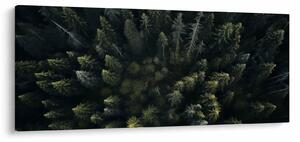 Kép - Forest (120x50 cm)