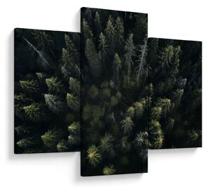 Kép - Forest (90x60 cm)