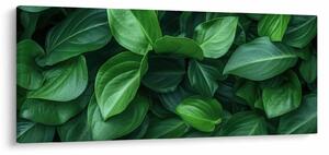 Kép - Zöld levelek (120x50 cm)