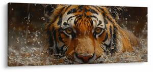 Kép - Portré egy tigris a vízben (120x50 cm)