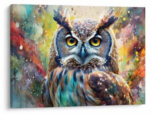 Kép - Egy bagoly festménye (70x50 cm)