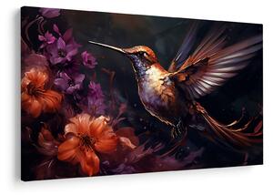 Kép - Kolibri (90x60 cm)