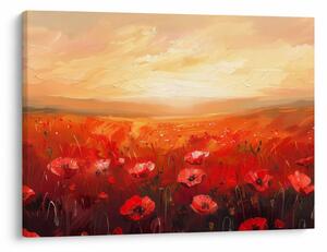 Kép - Mező pipacsok (70x50 cm)