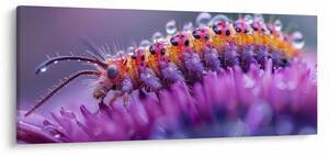 Kép - Caterpillar (120x50 cm)