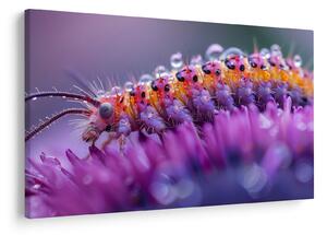 Kép - Caterpillar (90x60 cm)