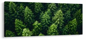 Kép - Forest (120x50 cm)