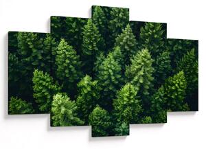 Kép - Forest (150x105 cm)