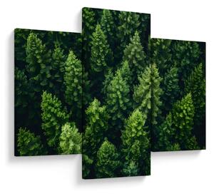 Kép - Forest (90x60 cm)