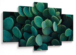 Kép - Opuntia (150x105 cm)
