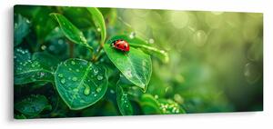 Kép - Katicabogár (120x50 cm)