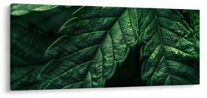 Kép - A lap részletei (120x50 cm)
