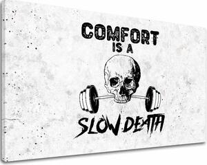 A kép a vásznon Comfort Is a Slow Death - Gym Motiváció
