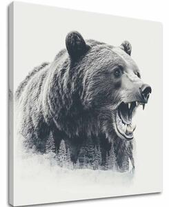 A kép a vásznon Bear in Fog - Forest Motif