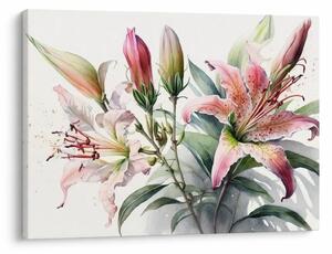 Kép - Liliomok, illusztrációk (70x50 cm)