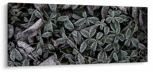 Kép - Fagyasztott növények (120x50 cm)