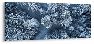 Kép - Havas erdő (120x50 cm)