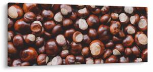 Kép - Érett gesztenye (120x50 cm)