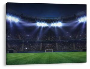 Kép - Labdarúgó stadion (70x50 cm)