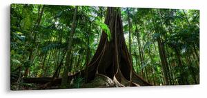 Kép - A fa gyökerei (120x50 cm)