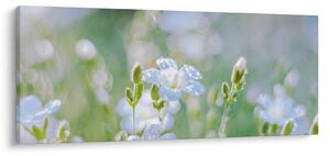Kép - Finom virágok (120x50 cm)