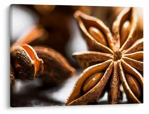 Kép - Anise (70x50 cm)