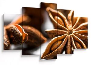 Kép - Anise (150x105 cm)