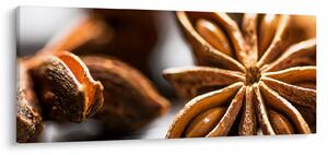 Kép - Anise (120x50 cm)