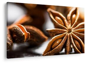 Kép - Anise (90x60 cm)