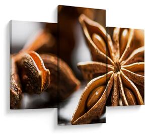 Kép - Anise (90x60 cm)