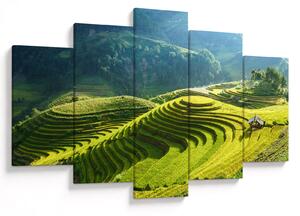 Kép - Rice Terraces koncert (150x105 cm)