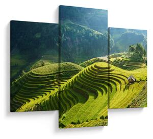 Kép - Rice Terraces koncert (90x60 cm)
