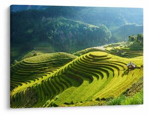 Kép - Rice Terraces koncert (70x50 cm)