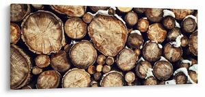Kép - Fa a hóban (120x50 cm)