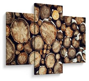 Kép - Fa a hóban (90x60 cm)